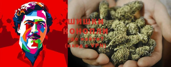 молекула духа Каменногорск