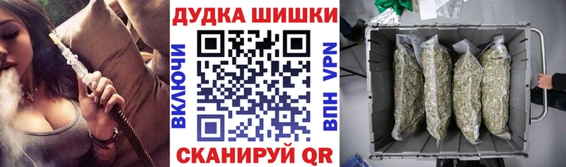 Канабис планчик Пересвет